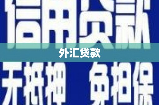 印台外汇贷款