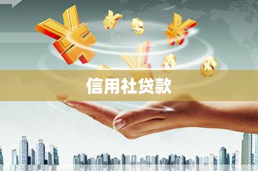 印台信用社贷款