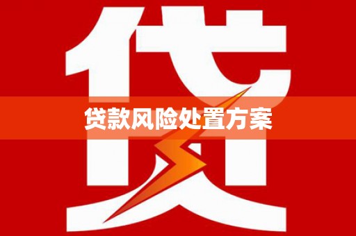 印台贷款风险处置方案