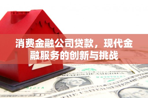 印台消费金融公司贷款，现代金融服务的创新与挑战