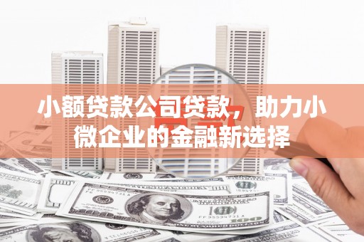 印台小额贷款公司贷款，助力小微企业的金融新选择