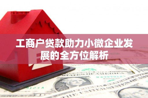 印台工商户贷款助力小微企业发展的全方位解析