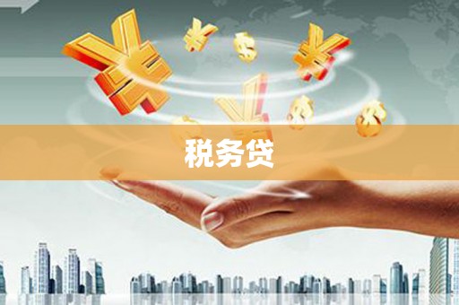 印台税务贷