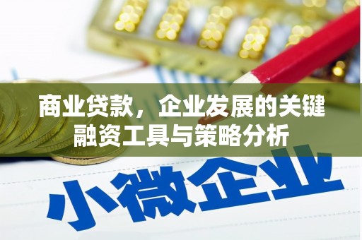 印台商业贷款，企业发展的关键融资工具与策略分析
