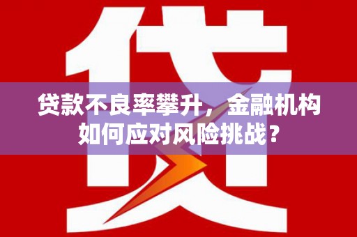 印台贷款不良率攀升，金融机构如何应对风险挑战？