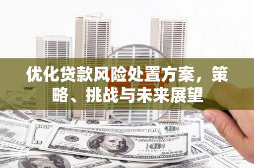 印台优化贷款风险处置方案，策略、挑战与未来展望