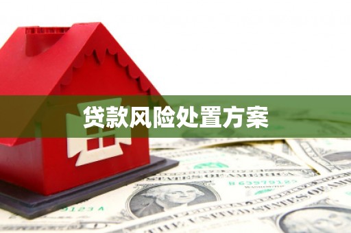 印台贷款风险处置方案