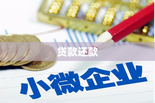 印台贷款还款
