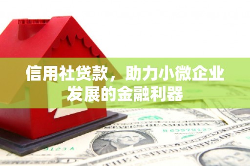印台信用社贷款，助力小微企业发展的金融利器