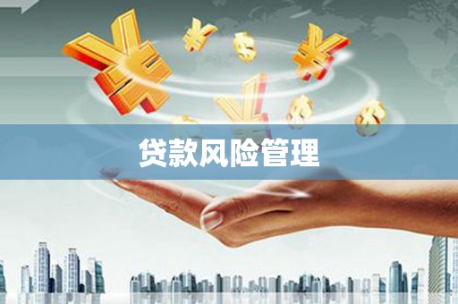 印台贷款风险管理