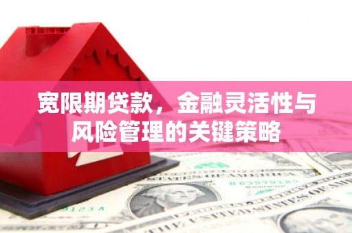 印台宽限期贷款，金融灵活性与风险管理的关键策略