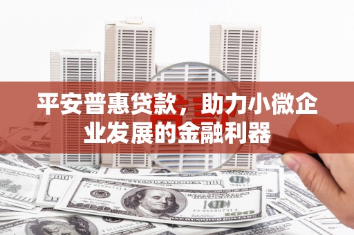印台平安普惠贷款，助力小微企业发展的金融利器