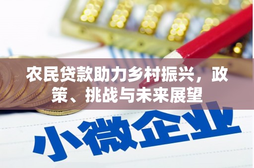 印台农民贷款助力乡村振兴，政策、挑战与未来展望