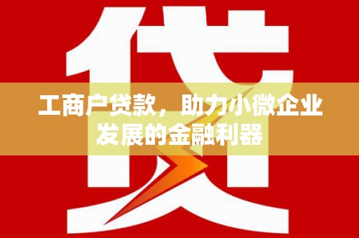 印台工商户贷款，助力小微企业发展的金融利器