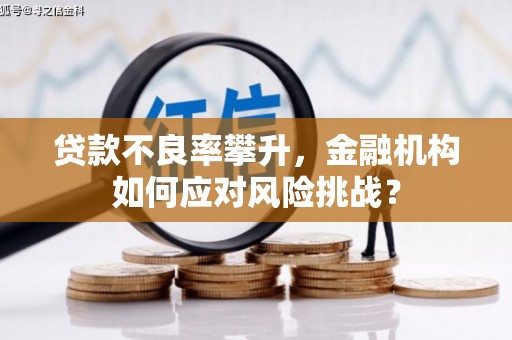 印台贷款不良率攀升，金融机构如何应对风险挑战？