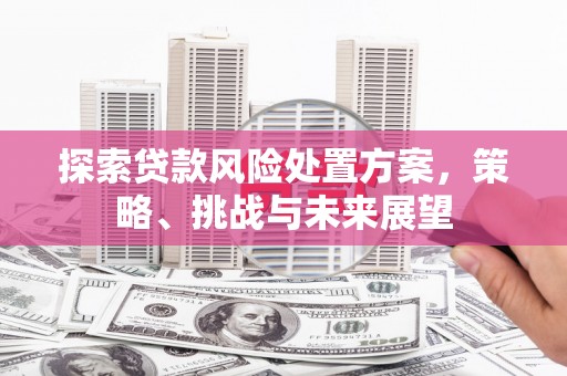 印台探索贷款风险处置方案，策略、挑战与未来展望