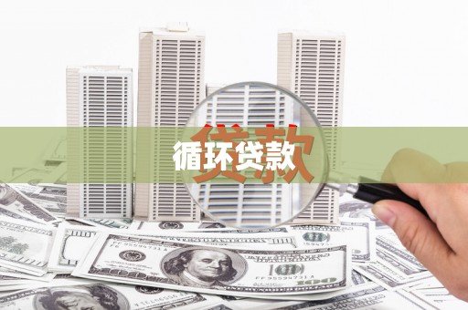 印台循环贷款