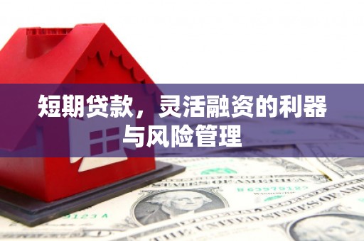 印台短期贷款，灵活融资的利器与风险管理
