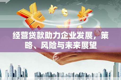 印台经营贷款助力企业发展，策略、风险与未来展望