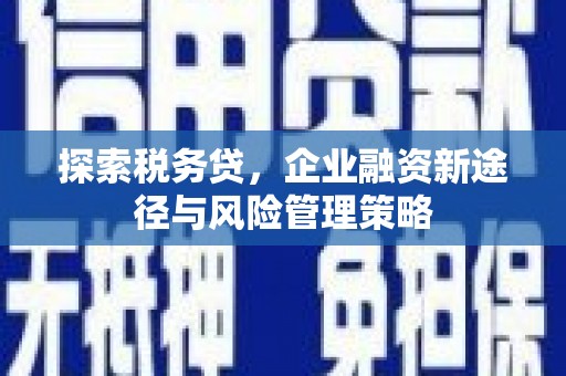 印台探索税务贷，企业融资新途径与风险管理策略