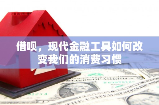 印台借呗，现代金融工具如何改变我们的消费习惯