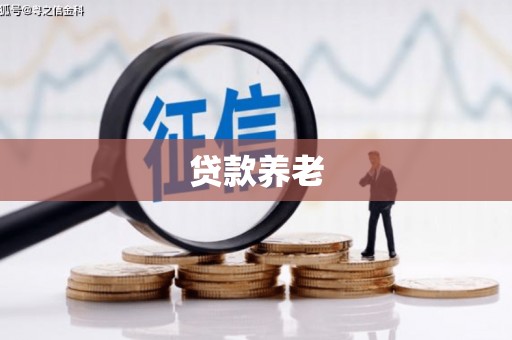 印台贷款养老