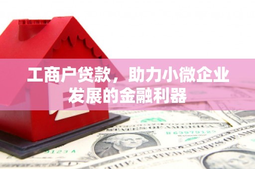 印台工商户贷款，助力小微企业发展的金融利器