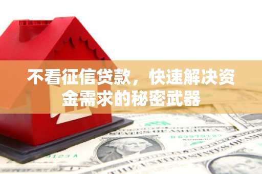 印台不看征信贷款，快速解决资金需求的秘密武器