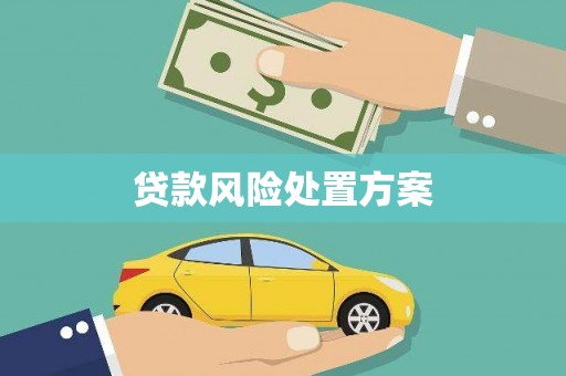 印台贷款风险处置方案