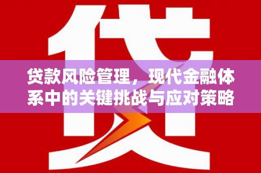 印台贷款风险管理，现代金融体系中的关键挑战与应对策略