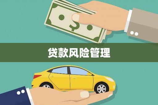 印台贷款风险管理