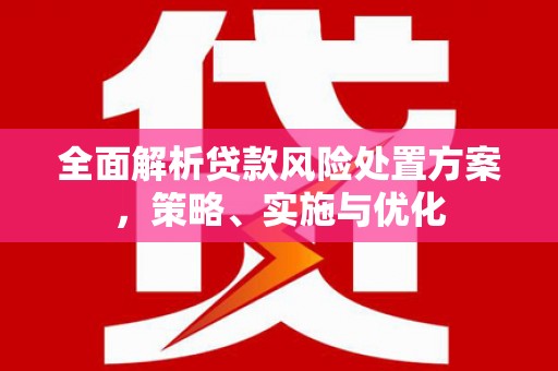 印台全面解析贷款风险处置方案，策略、实施与优化