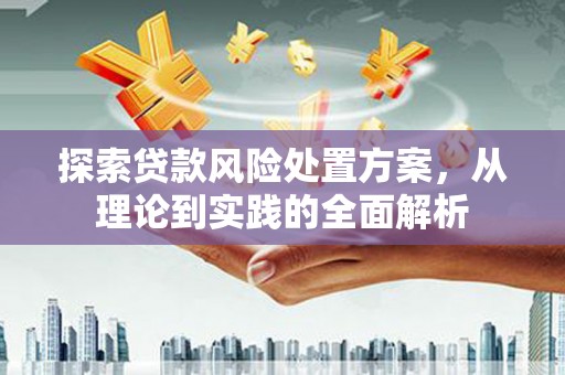 印台探索贷款风险处置方案，从理论到实践的全面解析
