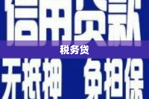 印台税务贷