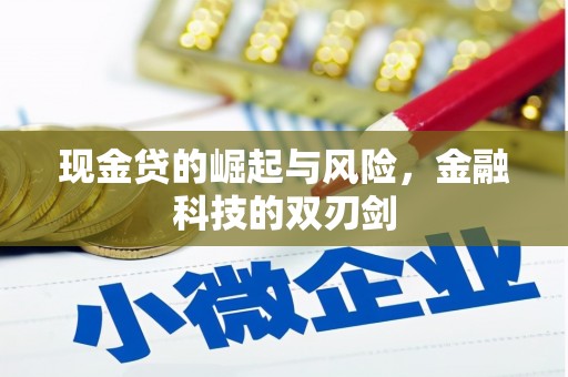 印台现金贷的崛起与风险，金融科技的双刃剑