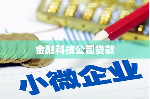 印台金融科技公司贷款