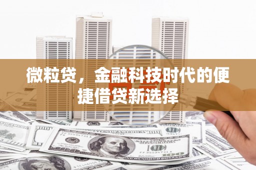 印台微粒贷，金融科技时代的便捷借贷新选择