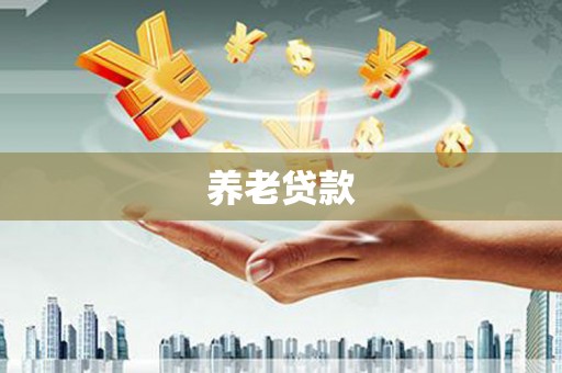 印台养老贷款