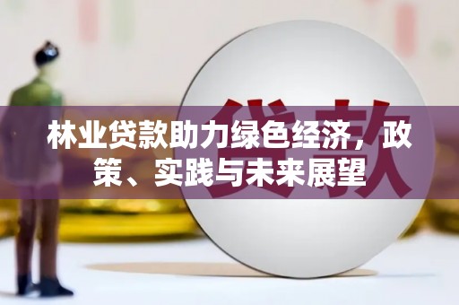 印台林业贷款助力绿色经济，政策、实践与未来展望