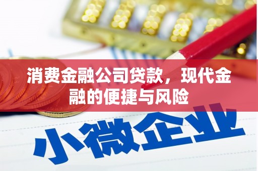 印台消费金融公司贷款，现代金融的便捷与风险