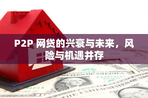 印台P2P 网贷的兴衰与未来，风险与机遇并存