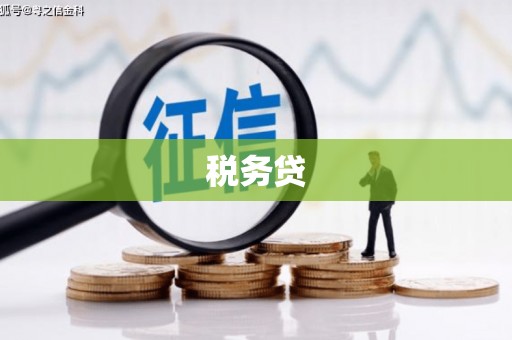 印台税务贷